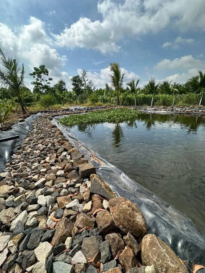 Bán đất 2300m2 view tại Xã Kim Long, Nhà Bè - Ảnh thu nhỏ 2