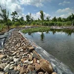 Bán đất 2300m2 view tại Xã Kim Long, Nhà Bè - Ảnh thu nhỏ 2
