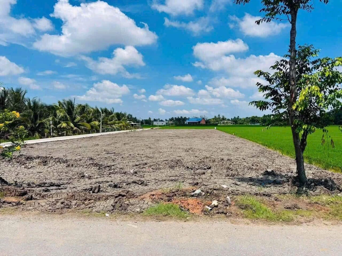 Bán đất mặt tiền Nguyễn Văn Thầu Đức Tân 185m² 1 tỷ 350 triệu - Ảnh 1