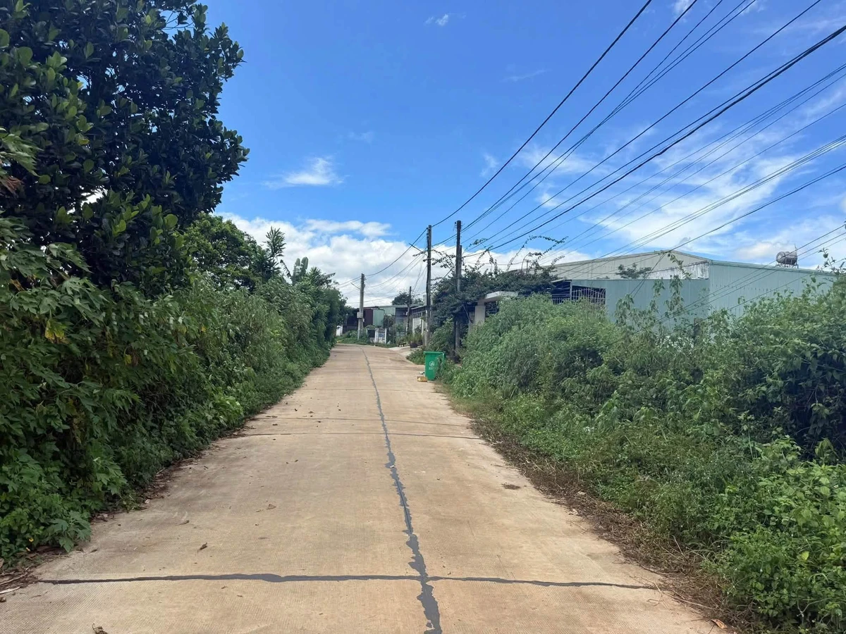 Bán lô đất 220m² Phường Diên Hồng 660 triệu - Ảnh thu nhỏ 4