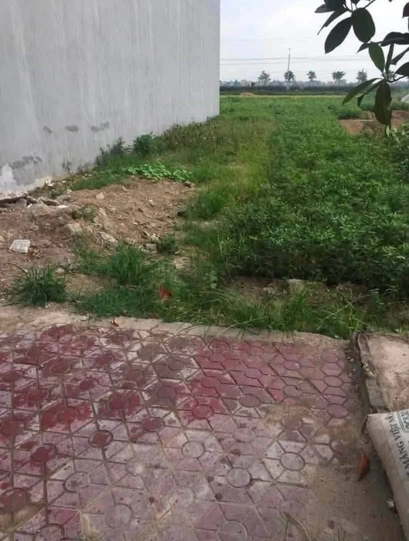 Bán đất 100m2 Xã Cộng Hoà 1.5 tỷ - Ảnh thu nhỏ 3
