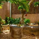 Homestay nhà vườn xinh xắn không gian sống yên bình giữa đồng quê Tuy An - Ảnh thu nhỏ 21