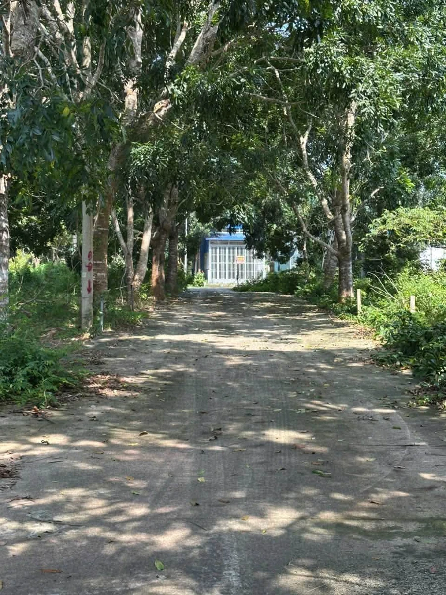 Bán đất 120m² Phú Quốc, gần 1,1 tỷ - Ảnh 1