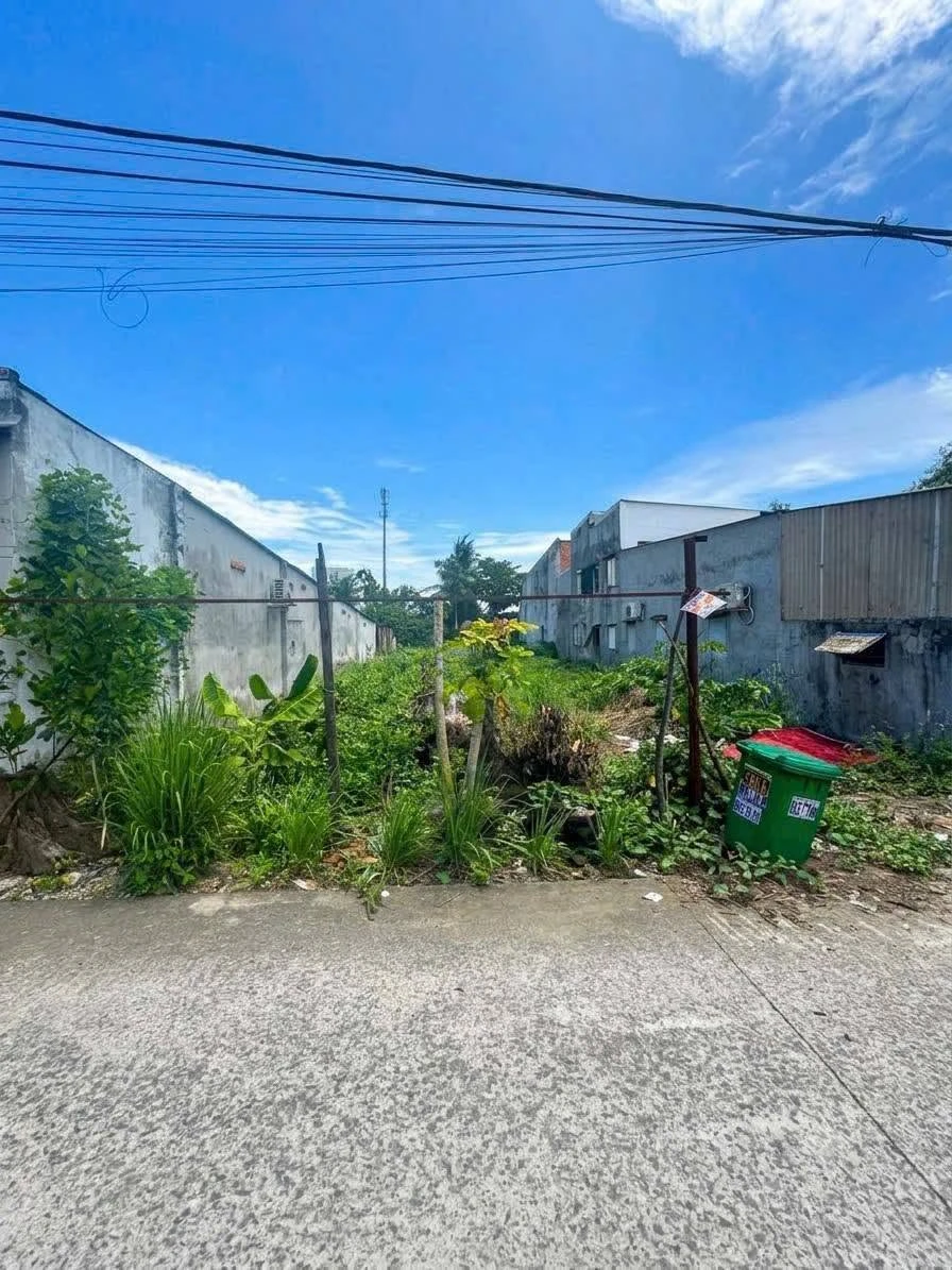 Bán đất 80m² sổ riêng Bình Chánh gần KDC An Hạ - 2 tỷ - Ảnh thu nhỏ 3