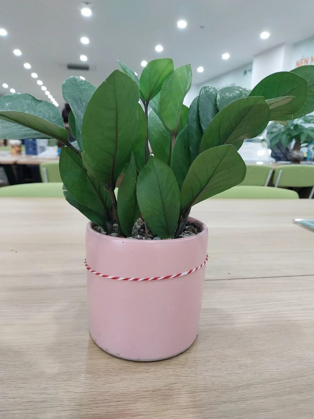 Bán đất tặng nhà cấp 4 kiệt ô tô Phan Tứ Mỹ An 151.5m² - Ảnh 1