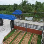 Nhà vườn view sông 746m² tại Bến Lức giá 2,6 tỷ - Ảnh thu nhỏ 4
