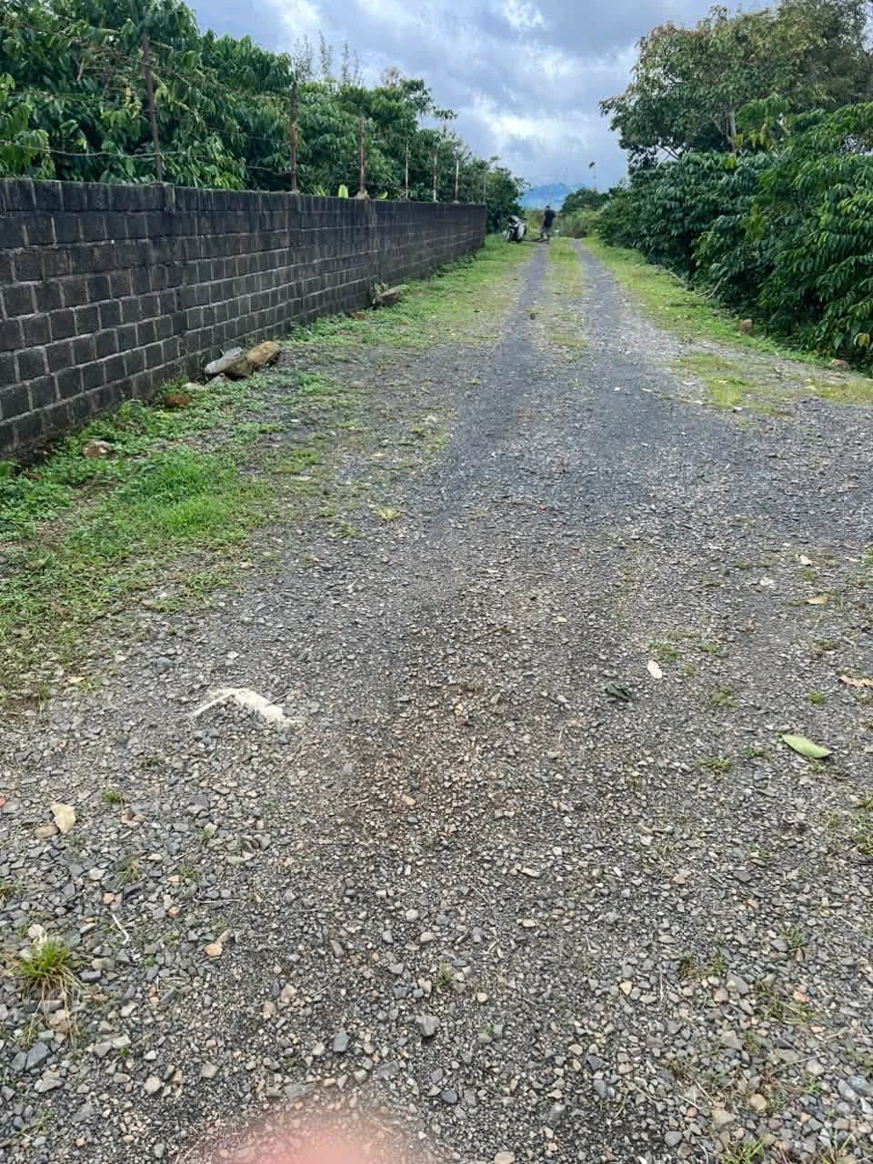 Bán 8.000m² đất vườn hẻm Lê Thị Riêng, Phường 3, Bảo Lộc, giá 12,5 tỷ - Ảnh 1