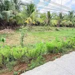 Bán đất mặt tiền 1336m2 Giồng Trôm 1 tỷ 950 triệu - Ảnh thu nhỏ 5