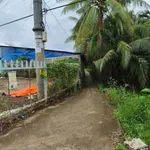 Bán vườn dừa 1,6ha Giồng Trôm Bạc Liêu 360tr/công - Ảnh thu nhỏ 4