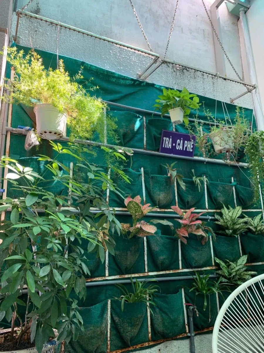 Bán nhà mặt tiền Trương Công Định 213m² 4 phòng ngủ, Quận 12 - Ảnh thu nhỏ 5