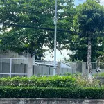 Bán đất tại Quốc lộ 60, xã Sơn Đông, thành phố Bến Tre, 12 tỷ, 546m2 - Ảnh thu nhỏ 14