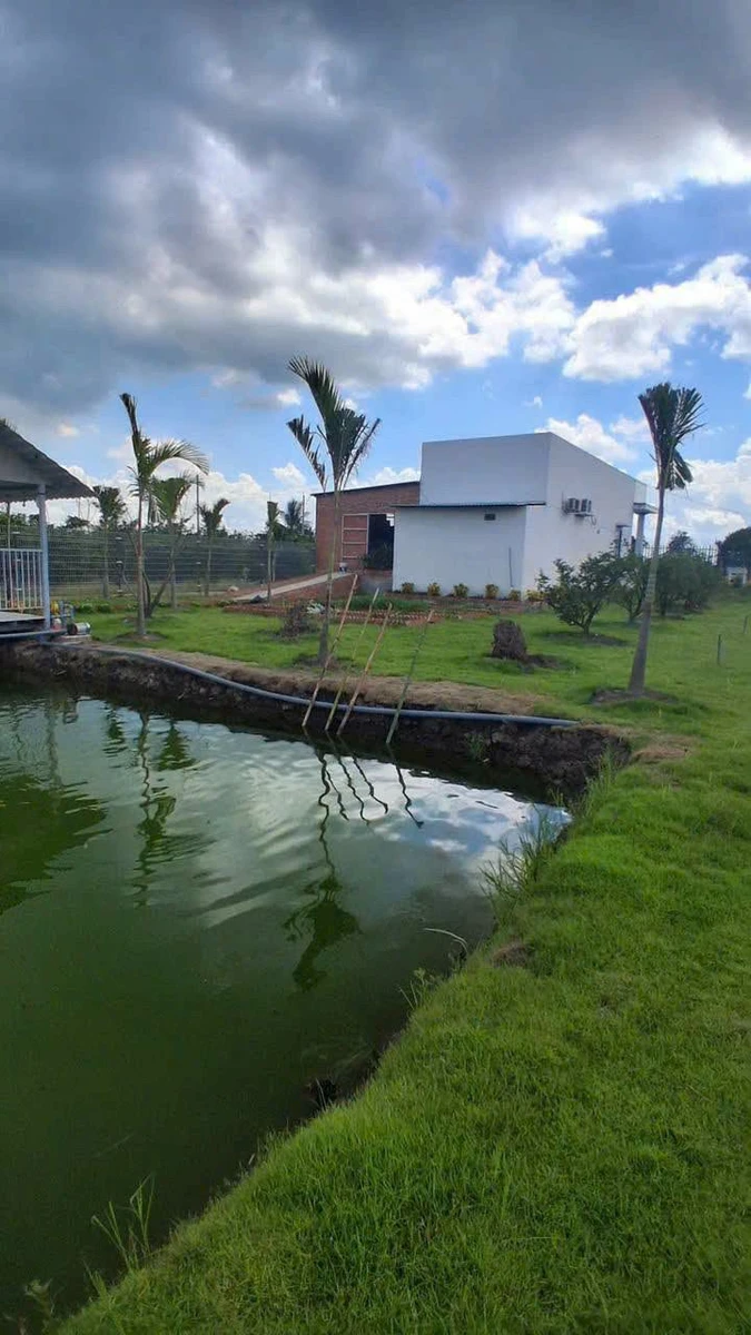 Bán nhà vườn 1000m² 2 phòng ngủ tại Thủ Thừa, Long An - Ảnh thu nhỏ 5