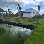 Bán nhà vườn 1000m² 2 phòng ngủ tại Thủ Thừa, Long An - Ảnh thu nhỏ 5