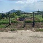 Đất 1000m2 mặt tiền Bê Tông, view hồ Núi Đất, Lagi - 8xx triệu - Ảnh thu nhỏ 1