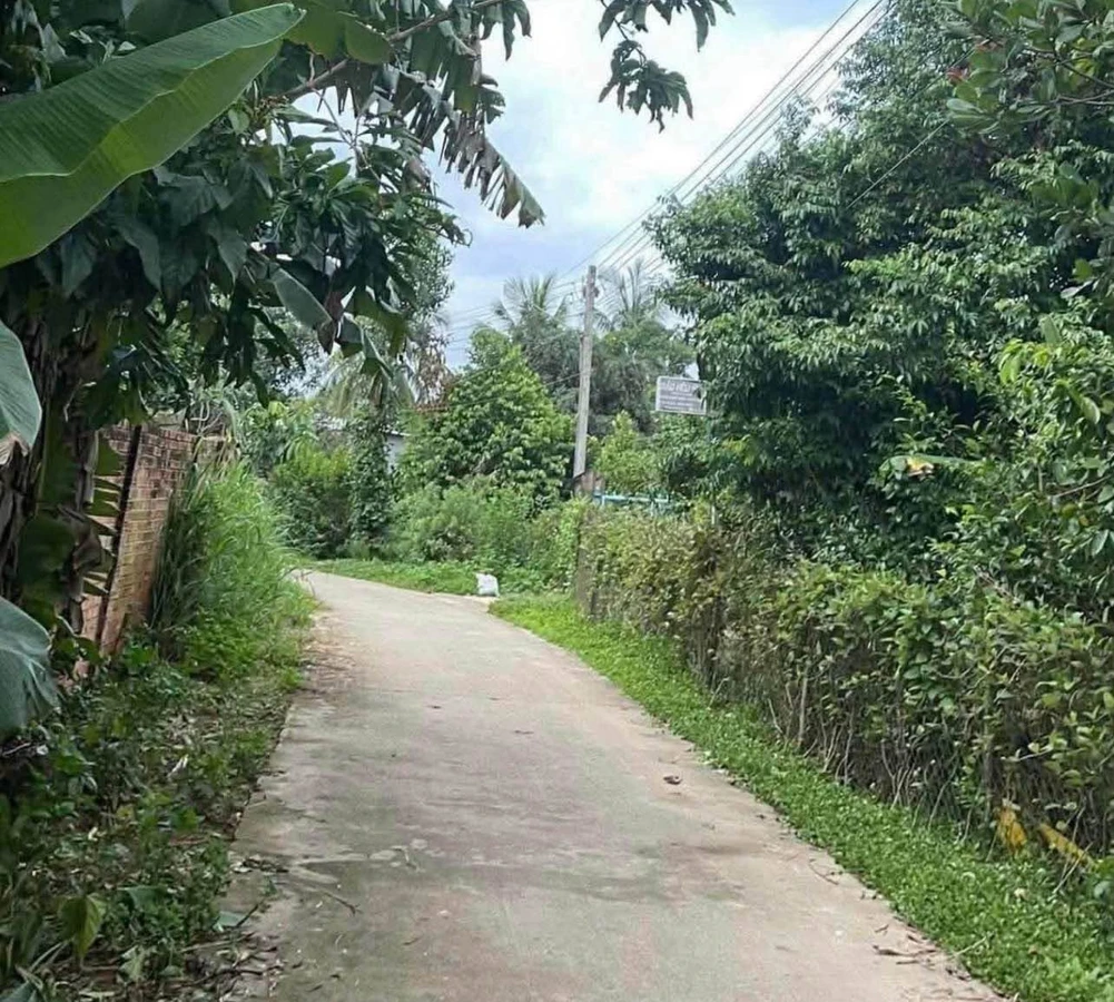 Bán đất Tân Phú 6x34m (204m²) 645 triệu Thanh Sơn - Ảnh thu nhỏ 3