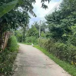 Bán đất Tân Phú 6x34m (204m²) 645 triệu Thanh Sơn - Ảnh thu nhỏ 3