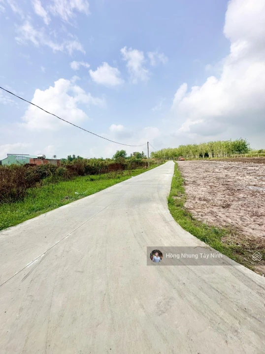 980tr, 1000m2 có thổ cư gần hết đất, gần dự án KCN Hiệp Thạnh, đường bê tông - Ảnh 1