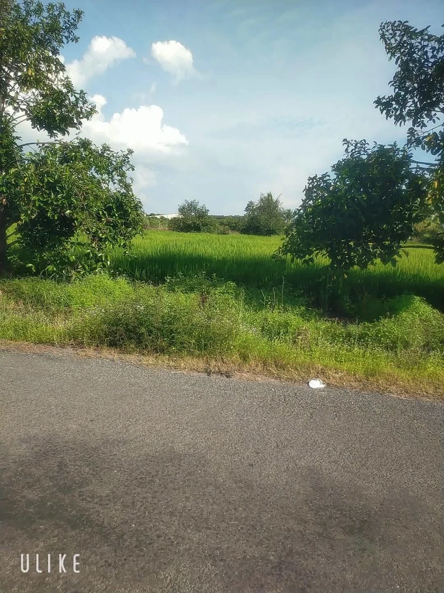 Bán đất 1560m² mặt tiền 20m Trường Xuân Long Hoa Tây Ninh - Ảnh thu nhỏ 4