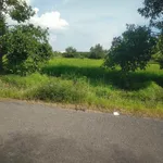 Bán đất 1560m² mặt tiền 20m Trường Xuân Long Hoa Tây Ninh - Ảnh thu nhỏ 4