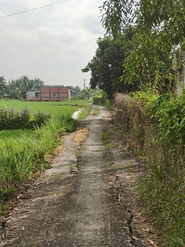 Bán đất thổ cư 171m2 Tân Trụ, Long An