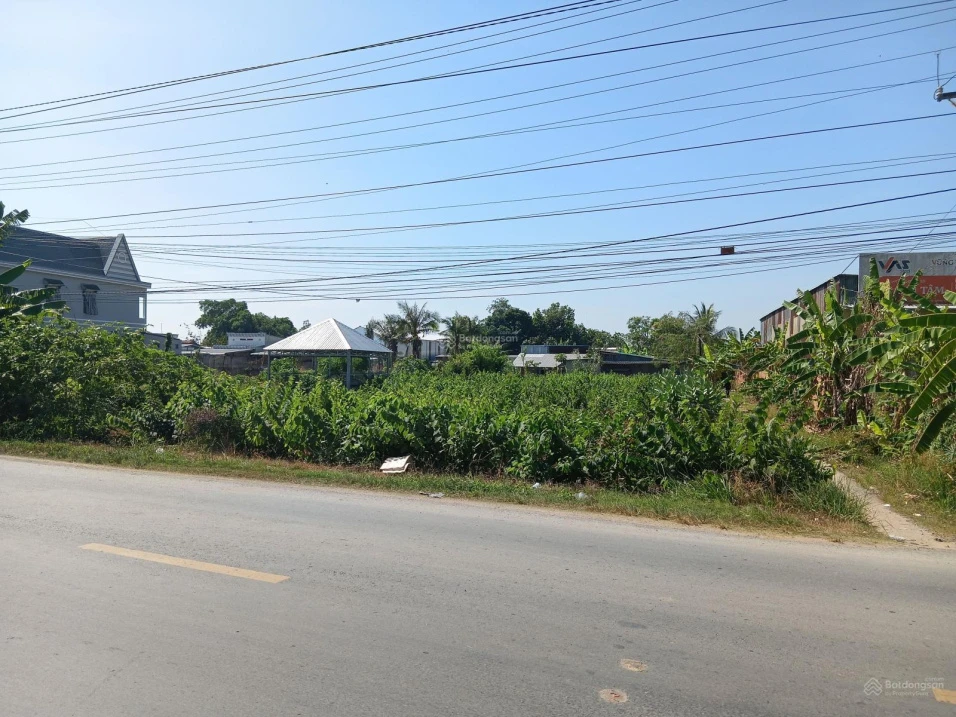 Bán Đất 1053,5 m2 tại Đường Quốc lộ 54, Xã Tân Thành, Huyện Lai Vung, 4,2 tỷ - Ảnh thu nhỏ 2