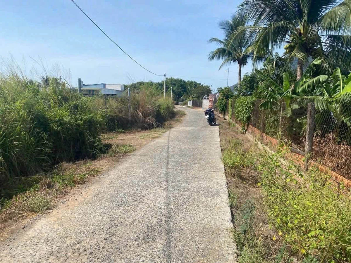 Bán đất thổ cư 400m² view núi Tà Cú, Bình Thuận - Ảnh thu nhỏ 5