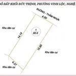 Bán đất bám đường nhựa 8m 60m² Trần Trùng Quang - Ảnh thu nhỏ 2