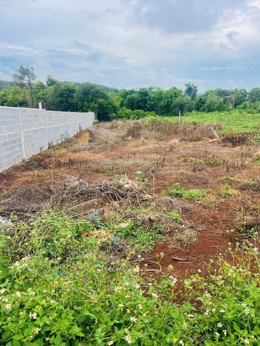 Bán đất 580m² hẻm Mai Thị Lựu, Quận 1, 1 tỷ 750 - Ảnh thu nhỏ 3