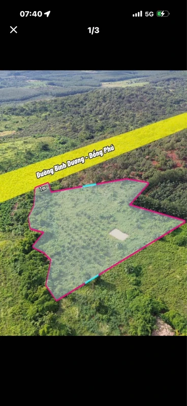 Bán đất 1,4 ha mặt tiền đường 65, Đồng Phú, Bình Phước