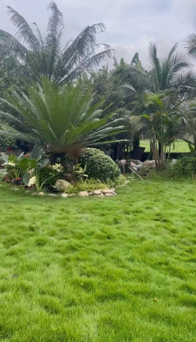 Bán đất nền 2.888m² trung tâm Biên Hòa 25 tỷ - Ảnh thu nhỏ 5