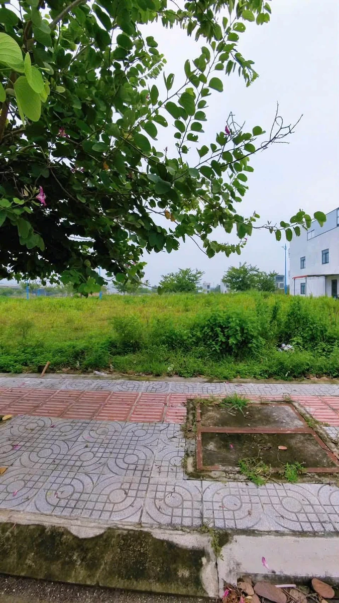 Bán đất khu tái định cư Hòa Long 5x18m thổ cư, Phường Tam Long, Bà Rịa - Ảnh thu nhỏ 3