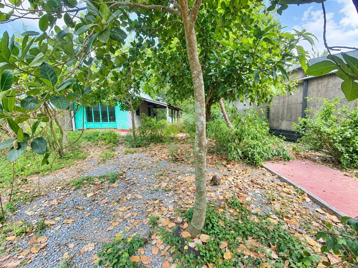 Bán đất thổ cư 1000m2 có nhà cấp 4, mặt tiền đường, view sông tại Cần Đước, Tây Ninh - Ảnh thu nhỏ 3