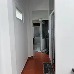 Bán 2 nhà riêng 126m2 Nguyễn Công Trứ, Đà Lạt 5.9 tỷ - Ảnh thu nhỏ 5