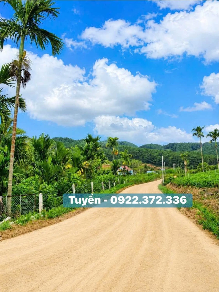 Bán đất view đồi thông Nam Ban Đà Lạt 350m² - Ảnh thu nhỏ 4