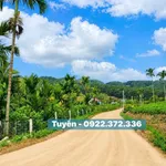 Bán đất view đồi thông Nam Ban Đà Lạt 350m² - Ảnh thu nhỏ 4