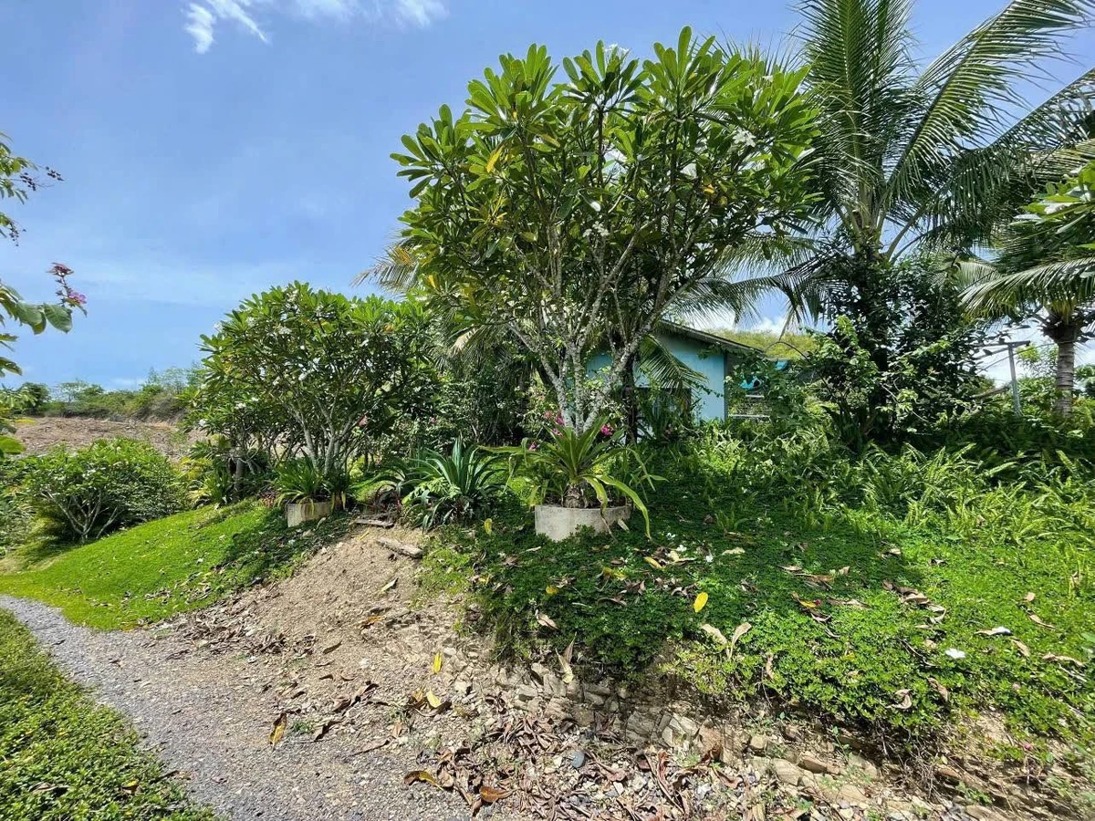 Bán nhà vườn 2 phòng 4.700m² hồ bơi Khánh Phú Nha Trang - Ảnh thu nhỏ 5