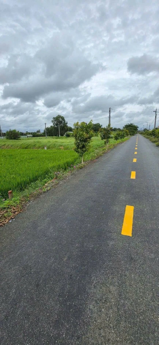 Bán đất 1.000m² Mỹ Lệ Cần Dước Long An 3,8 tỷ - Ảnh 1