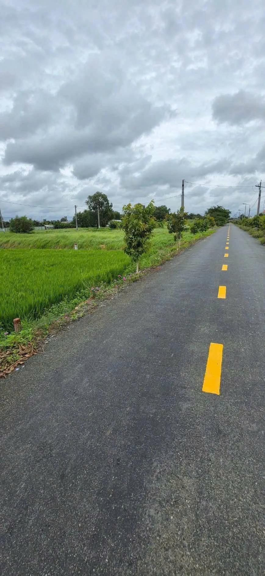 Bán đất 1.000m² Mỹ Lệ Cần Dước Long An 3,8 tỷ - Ảnh 1
