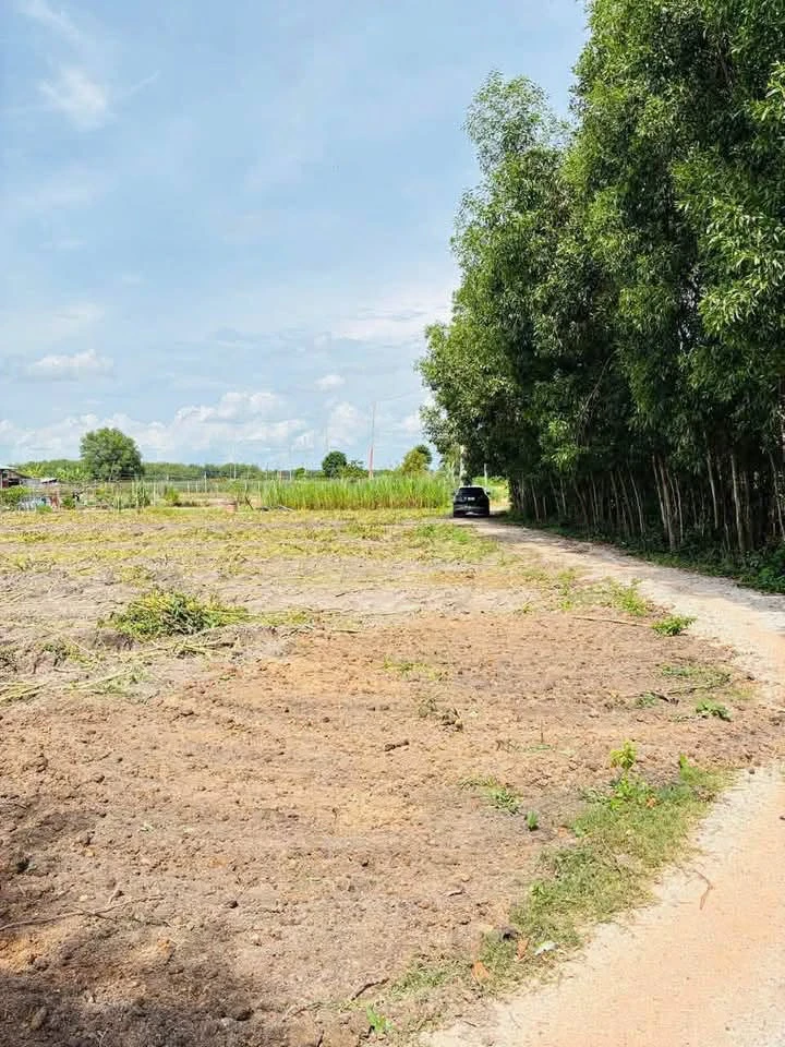 Bán đất 150m² Phước Tân, Tây Ninh - Ảnh thu nhỏ 4