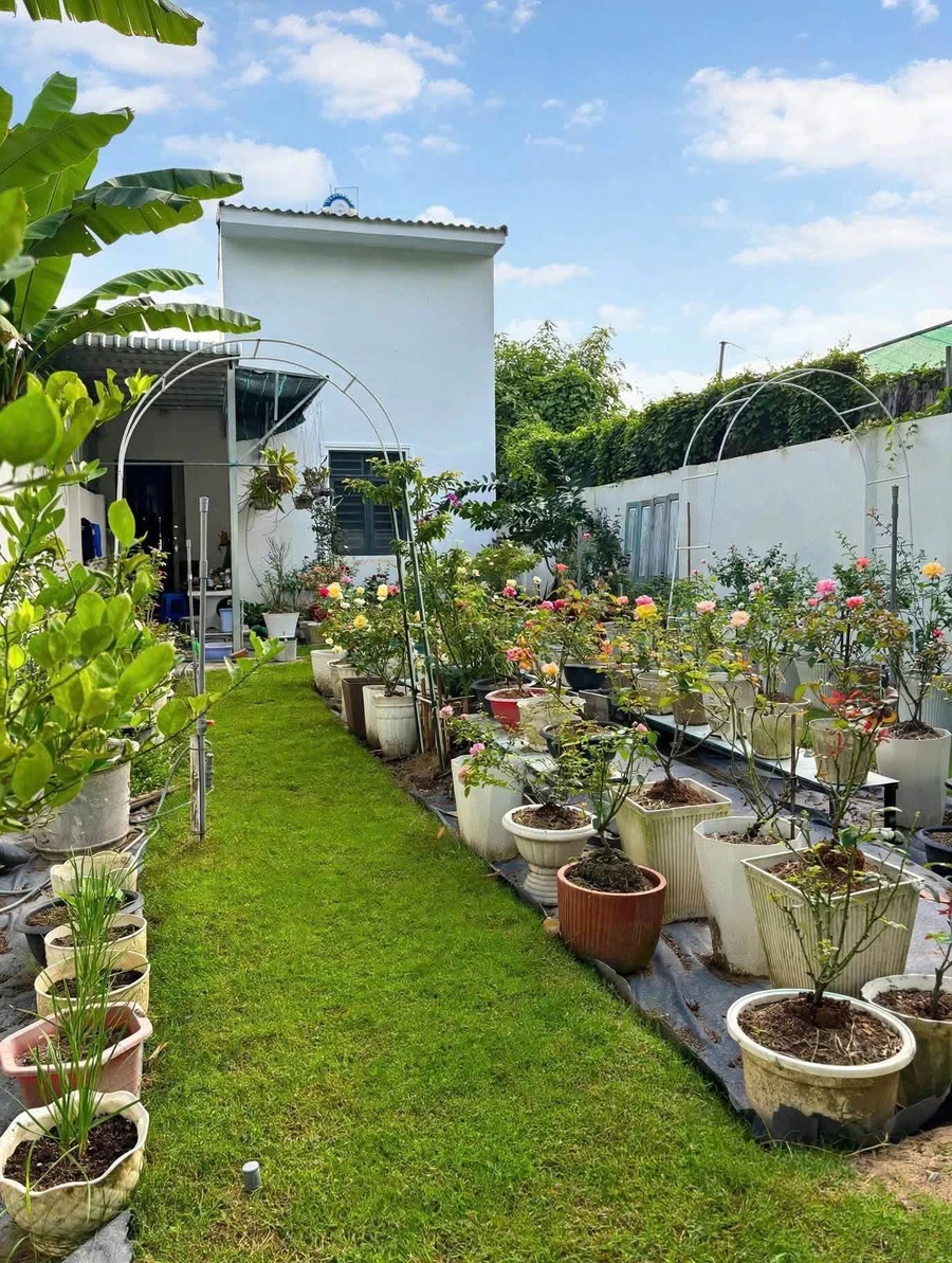 Bán biệt thự mini Châu Đốc, 307.5 m², 2.6 tỷ - Ảnh thu nhỏ 3