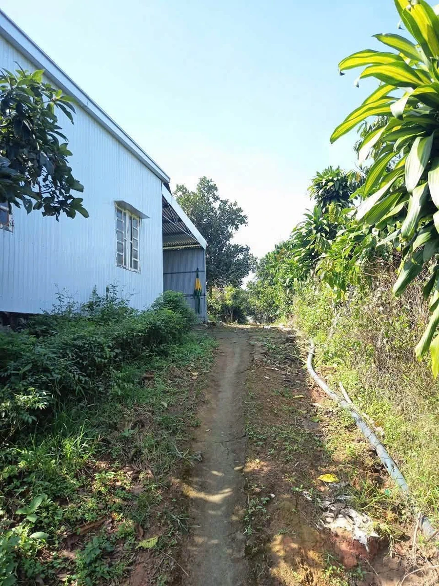Bán đất 5000m² có nhà kho tại Bảo Lộc, giá 6 tỷ 5 - Ảnh thu nhỏ 2