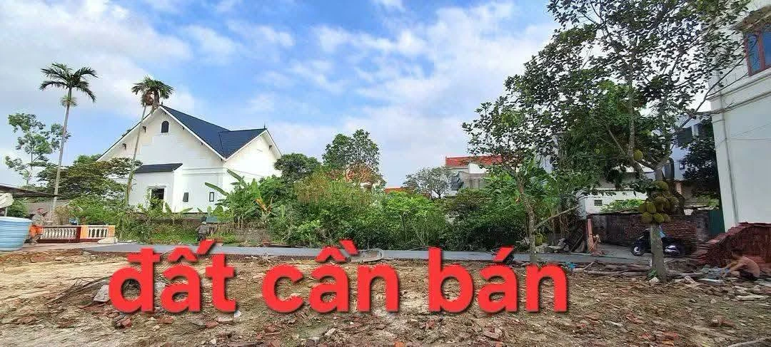 Bán đất Cẩm Giàng Hải Dương 68m² mặt tiền 4,6m - Ảnh 1