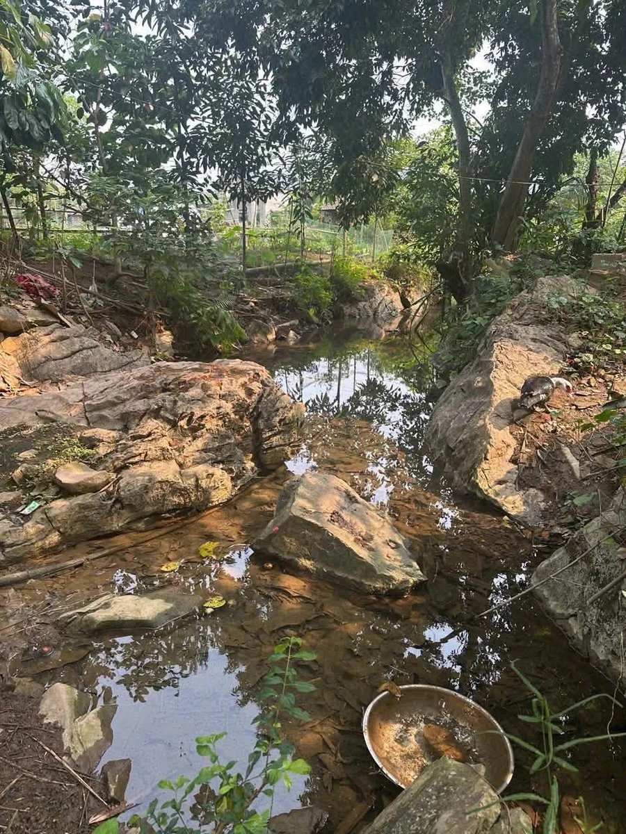 Bán đất Tân Lạc Hòa Bình 444m2, giá 288 triệu - Ảnh thu nhỏ 3