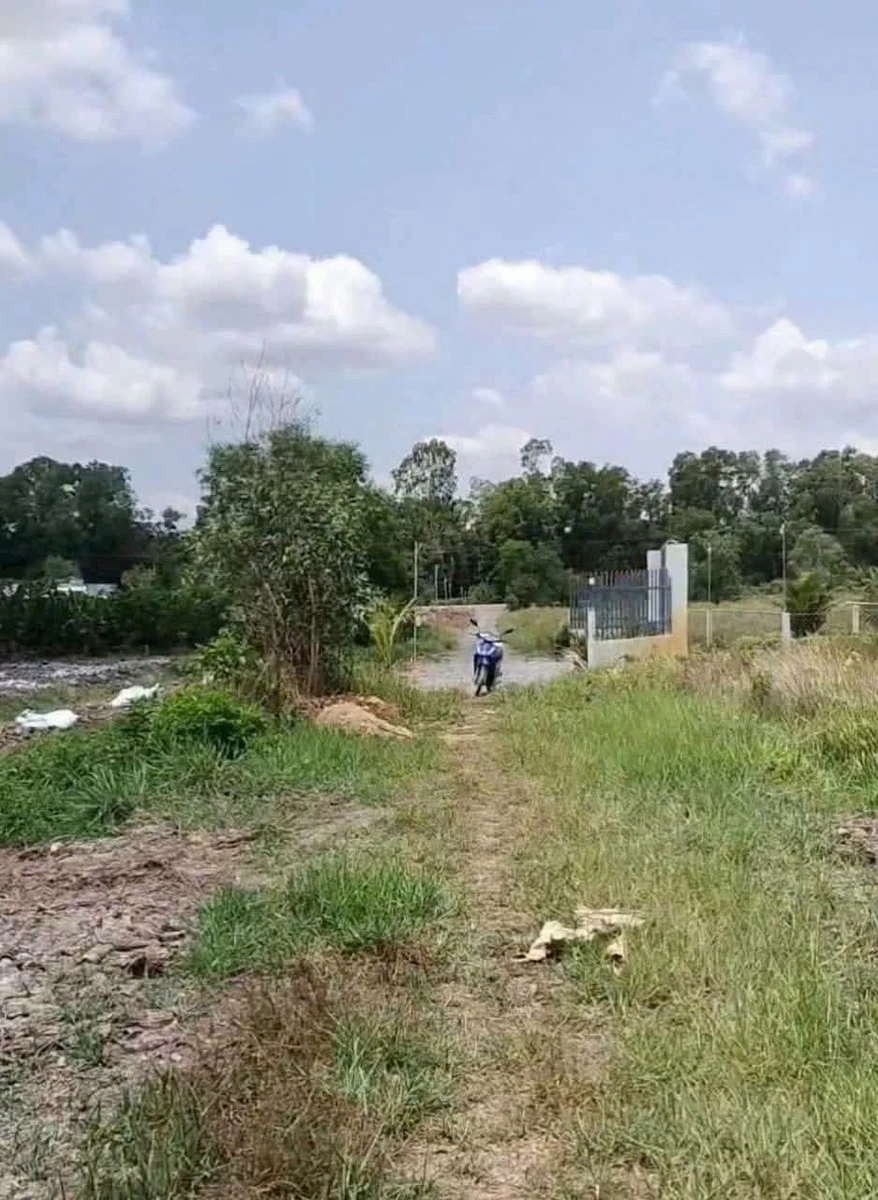 Bán 1400m² đất vườn chanh Thủ Thừa Long An 650 triệu - Ảnh thu nhỏ 2