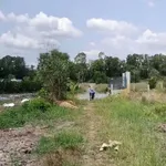Bán 1400m² đất vườn chanh Thủ Thừa Long An 650 triệu - Ảnh thu nhỏ 2