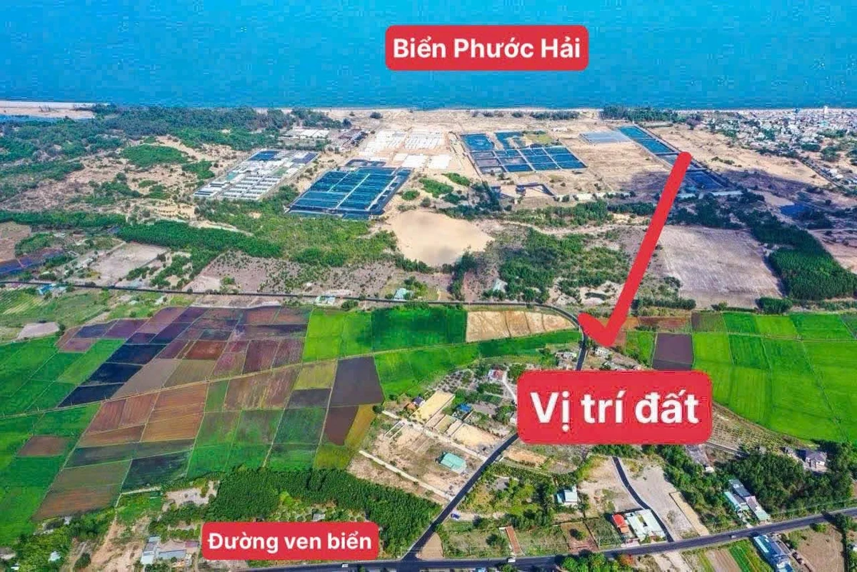 Bán đất nhà vườn 1130m2 view cánh đồng gần biển Phước Hải - Ảnh thu nhỏ 5