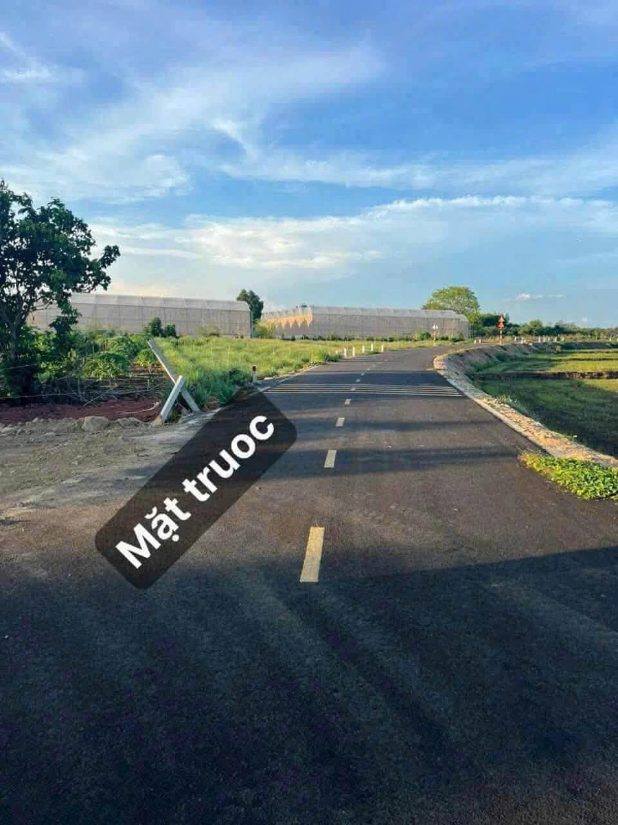 Bán lô đất 300m² đường Phạm Hùng Đất Đỏ, 1 tỷ 150 triệu - Ảnh thu nhỏ 3