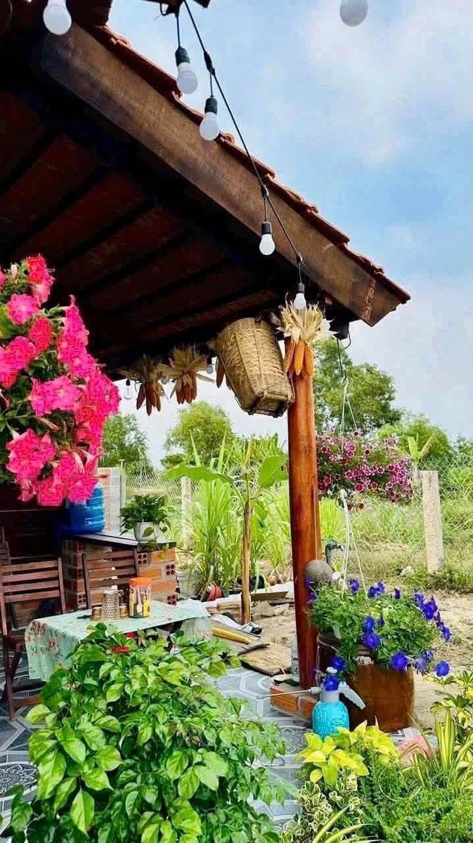 Bán đất vườn 800 m2 tại Hàm Liêm, Phan Thiết, Bình Thuận - Ảnh thu nhỏ 3
