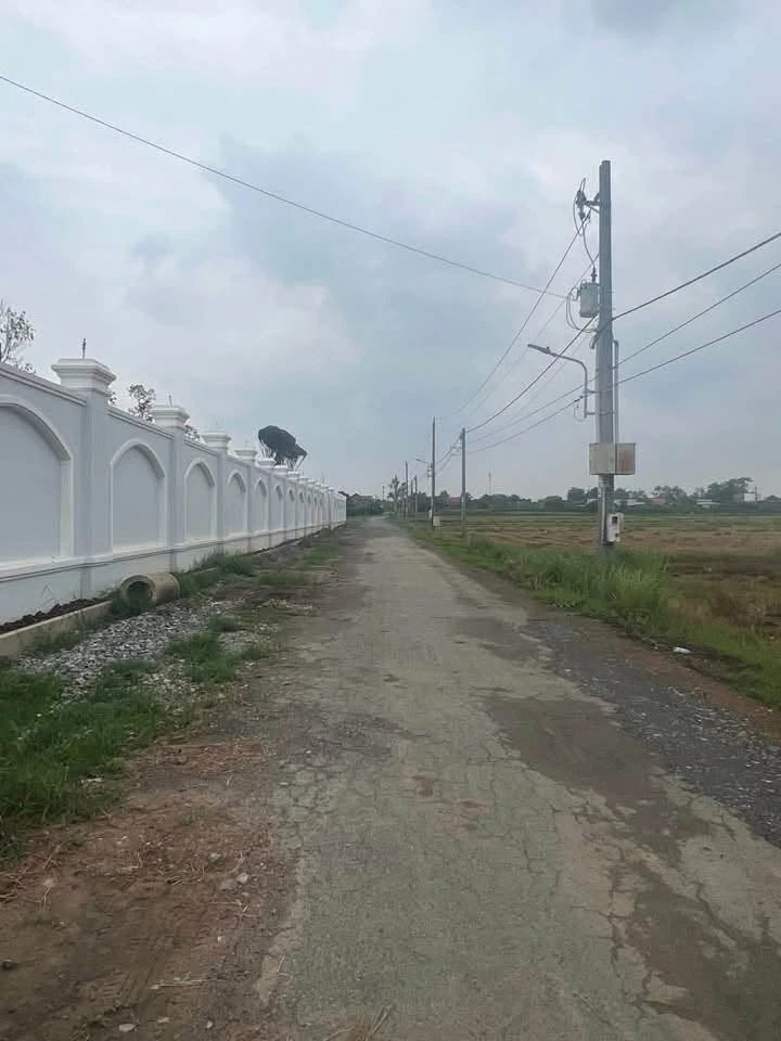Bán đất mặt tiền đường nhựa Bạch Đằng, Tân Uyên, Bình Dương, 400m2 giá khoảng 2 tỷ - Ảnh 1