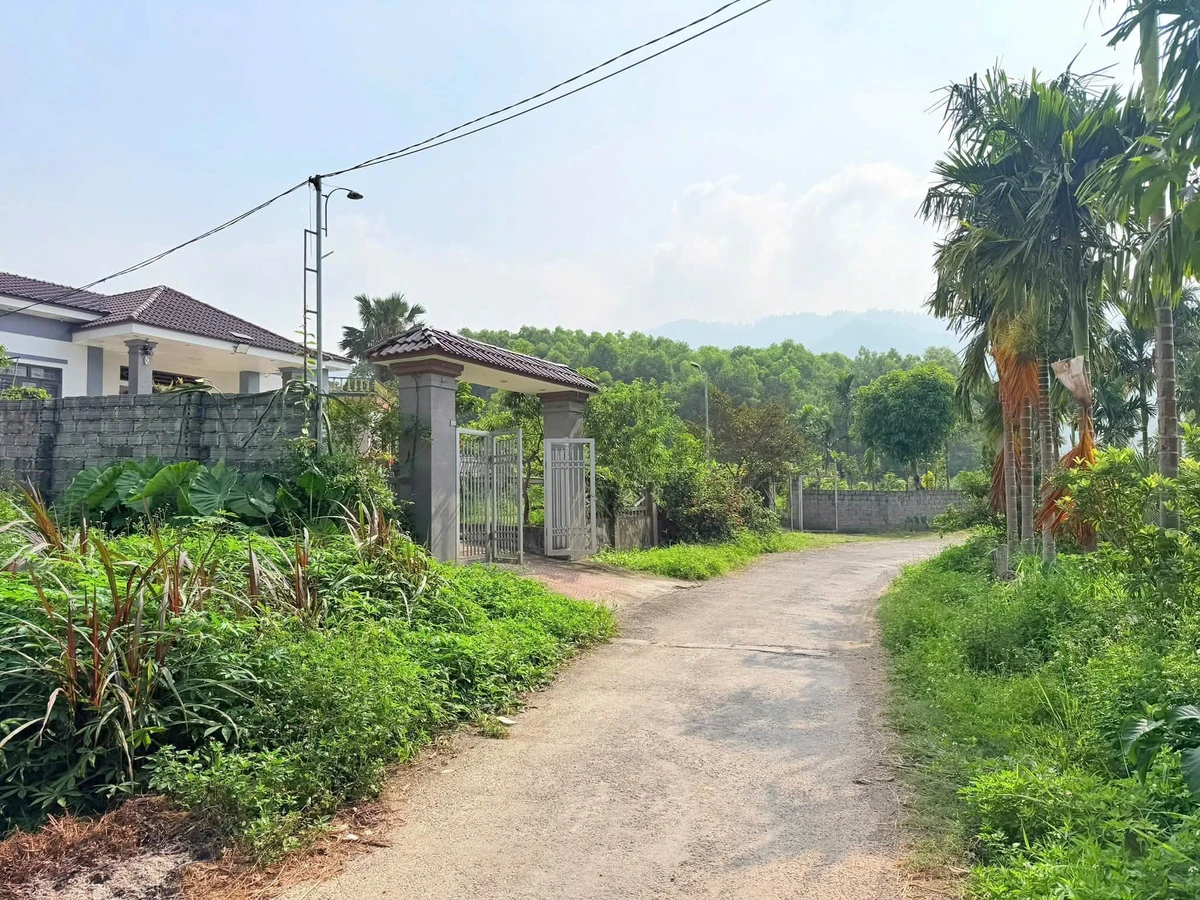 Bán đất 399m² Hưng Long Yên Lập Phú Thọ hơn 500 triệu - Ảnh thu nhỏ 4